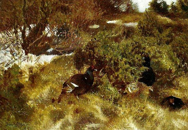 bruno liljefors landskap med orrar, tidig var oil painting image